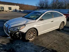 5NPE24AF2KH796265 2019 HYUNDAI SONATA