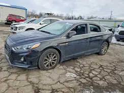 5NPE24AF2KH800489 2019 HYUNDAI SONATA