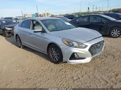 5NPE24AF2KH800606 2019 HYUNDAI SONATA