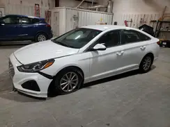5NPE24AF2KH801139 2019 HYUNDAI SONATA
