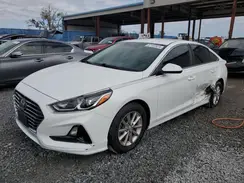 5NPE24AF2KH803053 2019 HYUNDAI SONATA