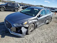 5NPE24AF2KH804137 2019 HYUNDAI SONATA