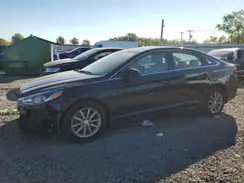 5NPE24AF2KH804364 2019 HYUNDAI SONATA