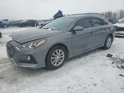 5NPE24AF2KH806521 2019 HYUNDAI SONATA