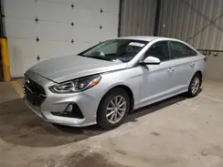 5NPE24AF2KH806566 2019 HYUNDAI SONATA