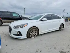 5NPE24AF2KH807104 2019 HYUNDAI SONATA
