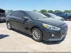 5NPE24AF2KH808737 2019 HYUNDAI SONATA