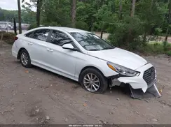 5NPE24AF2KH809208 2019 HYUNDAI SONATA