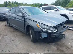 5NPE24AF2KH816093 2019 HYUNDAI SONATA