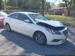 5NPE24AF3GH302986 2016 HYUNDAI SONATA