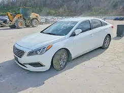 5NPE24AF3GH311669 2016 HYUNDAI SONATA