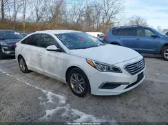 5NPE24AF3GH315849 2016 HYUNDAI SONATA