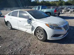 5NPE24AF3GH316760 2016 HYUNDAI SONATA