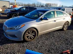 5NPE24AF3GH317844 2016 HYUNDAI SONATA
