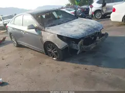 5NPE24AF3GH322557 2016 HYUNDAI SONATA