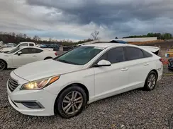 5NPE24AF3GH330593 2016 HYUNDAI SONATA