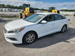 5NPE24AF3GH332036 2016 HYUNDAI SONATA
