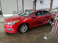 5NPE24AF3GH334921 2016 HYUNDAI SONATA