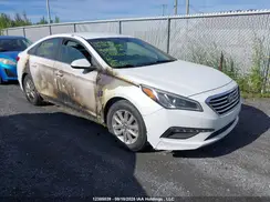 5NPE24AF3GH336149 2016 HYUNDAI SONATA