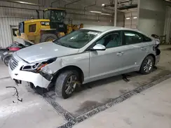 5NPE24AF3GH336684 2016 HYUNDAI SONATA