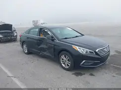 5NPE24AF3GH338189 2016 HYUNDAI SONATA