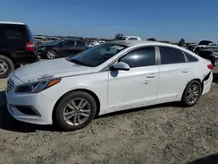 5NPE24AF3GH345157 2016 HYUNDAI SONATA