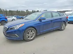 5NPE24AF3GH346681 2016 HYUNDAI SONATA