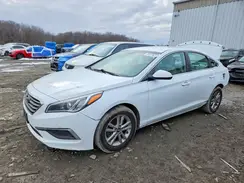 5NPE24AF3GH356403 2016 HYUNDAI SONATA
