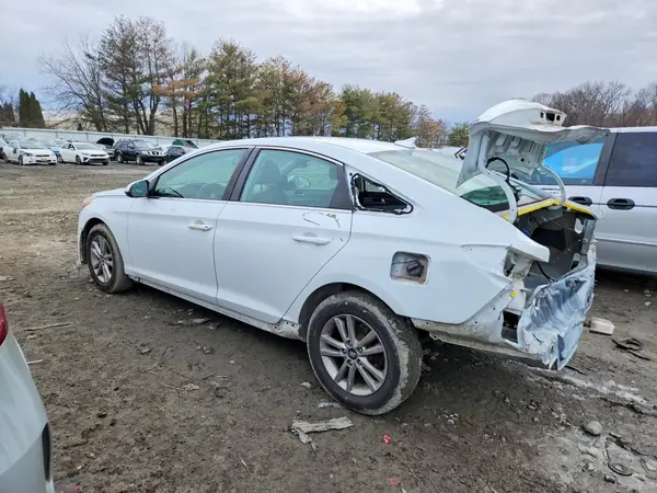 5NPE24AF3GH356403 2016 HYUNDAI SONATA - Image 2