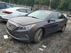 5NPE24AF3GH356434 2016 HYUNDAI SONATA