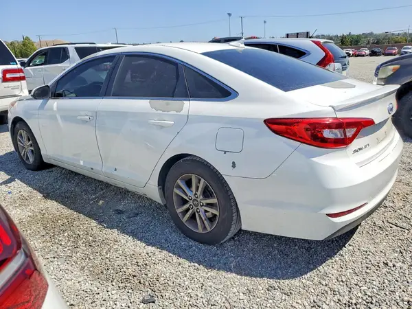 5NPE24AF3GH359186 2016 HYUNDAI SONATA - Image 2