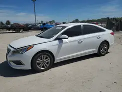 5NPE24AF3GH362377 2016 HYUNDAI SONATA
