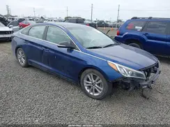 5NPE24AF3GH363691 2016 HYUNDAI SONATA