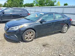5NPE24AF3GH367692 2016 HYUNDAI SONATA