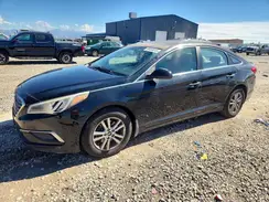 5NPE24AF3GH380815 2016 HYUNDAI SONATA
