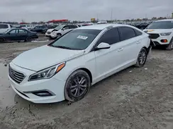 5NPE24AF3GH385772 2016 HYUNDAI SONATA