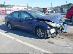 5NPE24AF3GH388431 2016 HYUNDAI SONATA