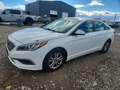 5NPE24AF3GH398103 2016 HYUNDAI SONATA