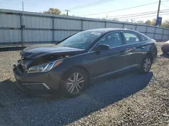 5NPE24AF3GH410024 2016 HYUNDAI SONATA
