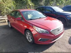 5NPE24AF3GH415000 2016 HYUNDAI SONATA