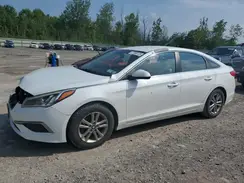 5NPE24AF3GH417667 2016 HYUNDAI SONATA