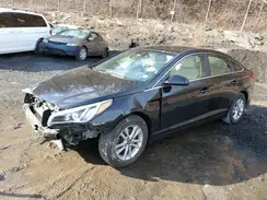 5NPE24AF3GH432461 2016 HYUNDAI SONATA