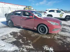 5NPE24AF3HH441811 2017 HYUNDAI SONATA