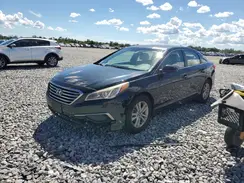 5NPE24AF3HH444983 2017 HYUNDAI SONATA