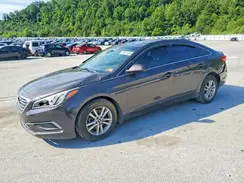 5NPE24AF3HH451402 2017 HYUNDAI SONATA