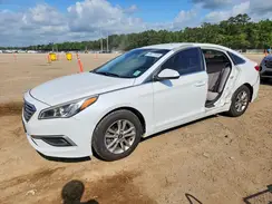 5NPE24AF3HH491401 2017 HYUNDAI SONATA