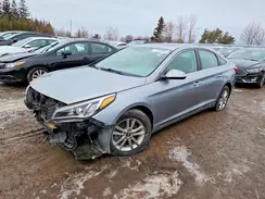 5NPE24AF3HH516636 2017 HYUNDAI SONATA