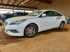 5NPE24AF3HH529080 2017 HYUNDAI SONATA