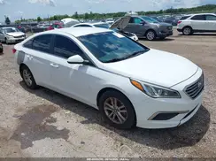 5NPE24AF3HH554643 2017 HYUNDAI SONATA
