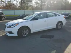 5NPE24AF3HH567523 2017 HYUNDAI SONATA